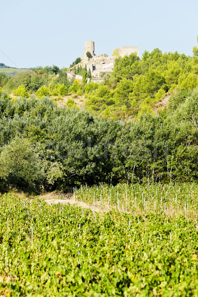 castle in Durban-Corbiere with vineyards, Languedoc-Roussillon,  Stock photo © phbcz