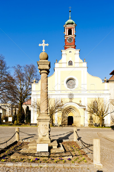 monastery's church of Virgin Mary assumption, Police nad Metuji, Stock photo © phbcz