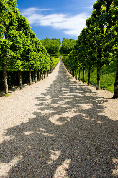 Villandry Castle's garden, Indre-et-Loire, Centre, France Stock photo © phbcz