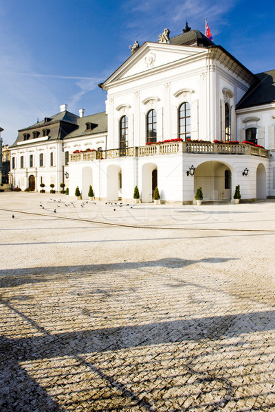 Prezidential palat pătrat Bratislava Slovacia Imagine de stoc © phbcz
