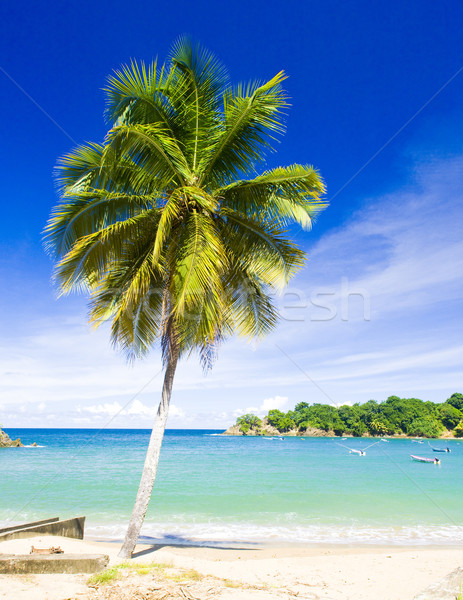 Parlatuvier Bay, Tobago Stock photo © phbcz