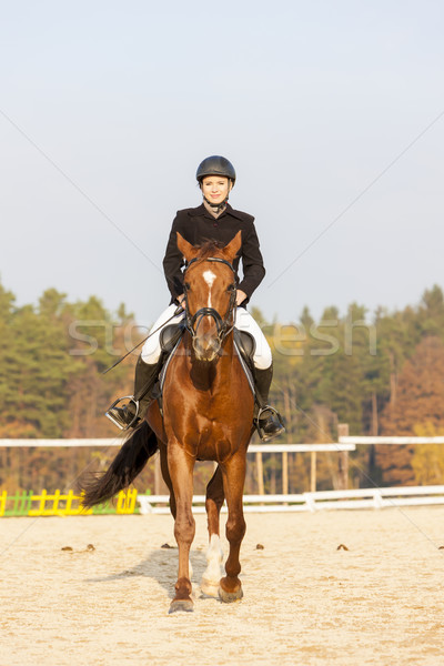 верхом женщины лошади работает осень Сток-фото © phbcz