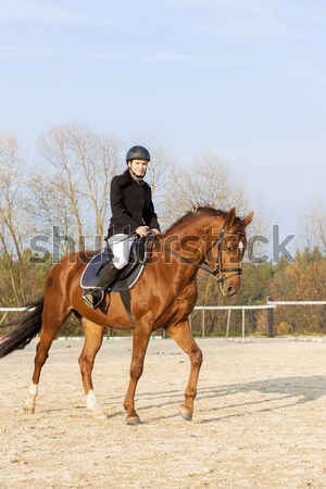 equestrian on horseback Stock photo © phbcz