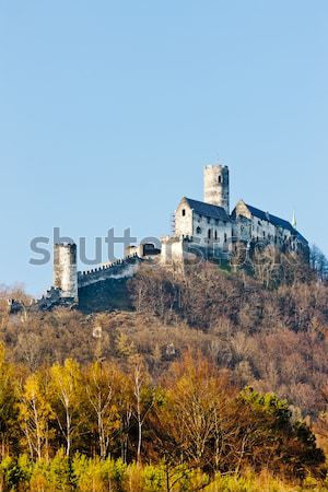 Burg Tschechische Republik Reise Architektur Freien außerhalb Stock foto © phbcz