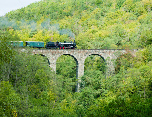 Zampach viaduct, Czech Republic Stock photo © phbcz