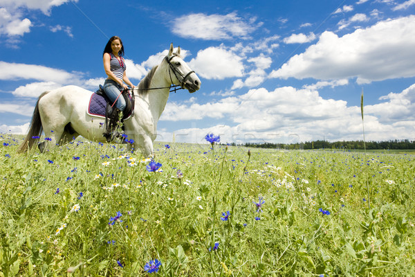 馬背 女子 動物 年輕 馬匹 商業照片 © phbcz