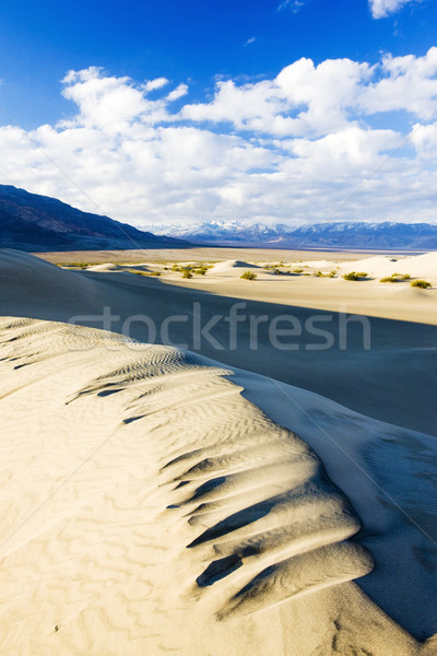 Stovepipe Wells sand dunes, Death Valley National Park, Californ Stock photo © phbcz