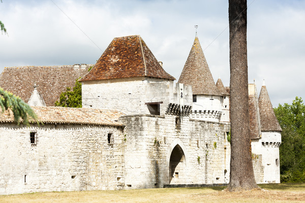 Castel departament Franta călători arhitectură Europa Imagine de stoc © phbcz