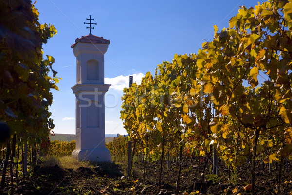 Dorp kapel Tsjechische Republiek kerk Europa wijngaard Stockfoto © phbcz