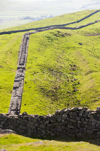 Hadrian's wall, Northumberland, England Stock photo © phbcz