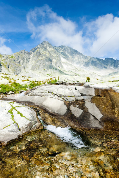 Pequeño frío valle alto Eslovaquia paisaje Foto stock © phbcz