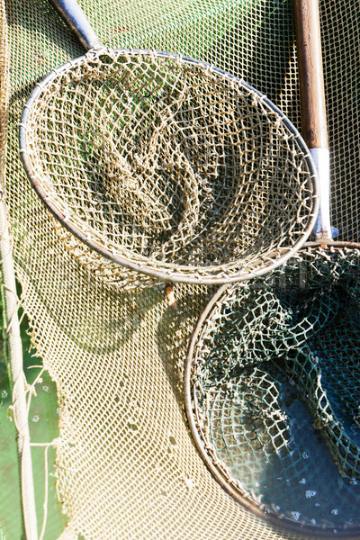 landing nets Stock photo © phbcz
