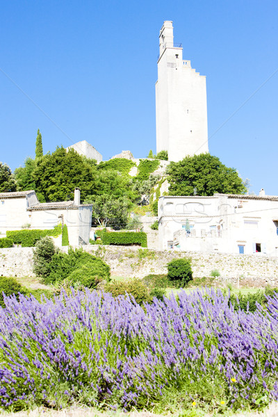 Chamaret with lavender field, Drome Department, Rhone-Alpes, Fra Stock photo © phbcz