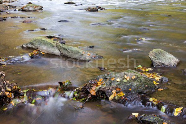 Río otono República Checa agua naturaleza piedra Foto stock © phbcz