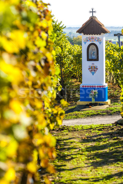 God's torture with vineyard near Nechory, Czech Republic Stock photo © phbcz