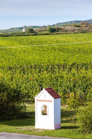 God's torture near Hnanice with autumnal vineyard, Southern Mor Stock photo © phbcz