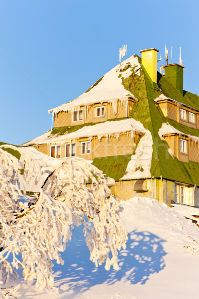 Masarykova Cottage, Orlicke Mountains in winter, Czech Republic Stock photo © phbcz