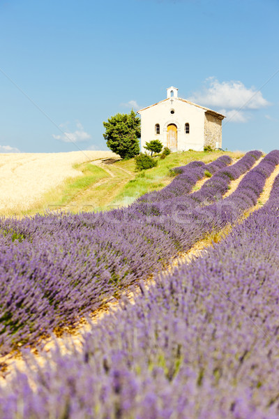 Capela campo de lavanda planalto flor edifício campo Foto stock © phbcz