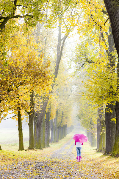 woman wearing rubber boots with umbrella in autumnal alley Stock photo © phbcz