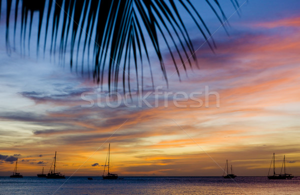 sunset over the Caribbean Sea, Grand Anse Bay, Grenada Stock photo © phbcz