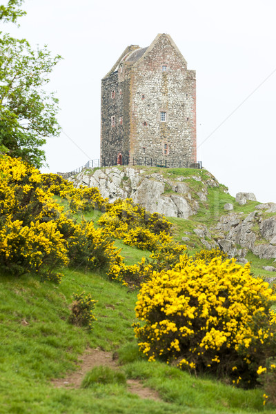 Toren Schotland architectuur Europa geschiedenis Stockfoto © phbcz
