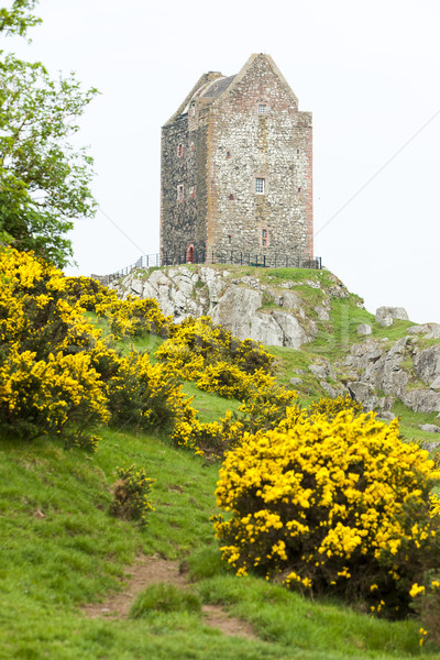 Smailholm Tower near Kelso, Scottish Borders, Scotland Stock photo © phbcz