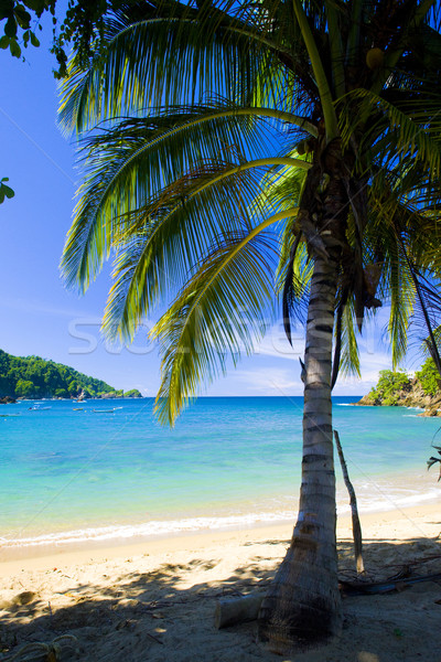 Parlatuvier Bay, Tobago Stock photo © phbcz