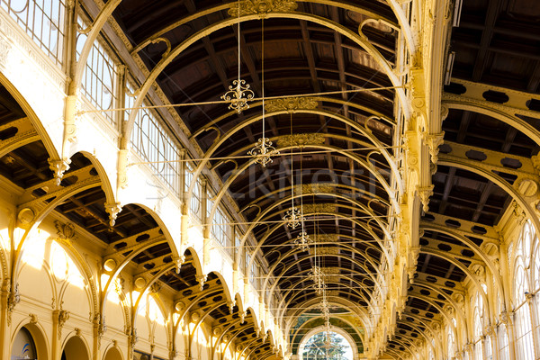 interior of Colonnade, Marianske Lazne (Marienbad), Czech Republ Stock photo © phbcz