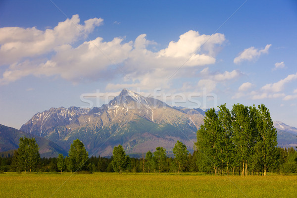 Krivan, Vysoke Tatry (High Tatras), Slovakia Stock photo © phbcz