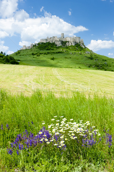 Spissky Castle, Slovakia Stock photo © phbcz