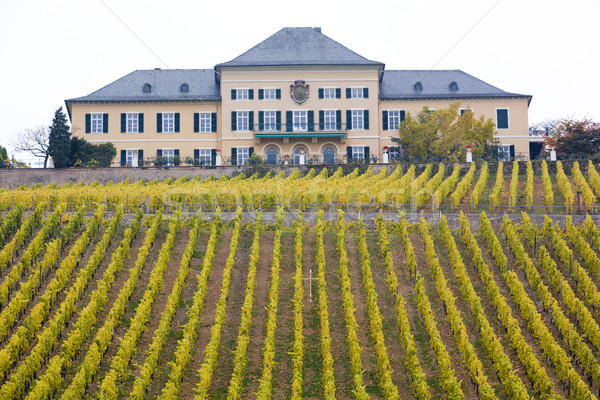 Johannisberg Castle with vineyard, Hessen, Germany Stock photo © phbcz