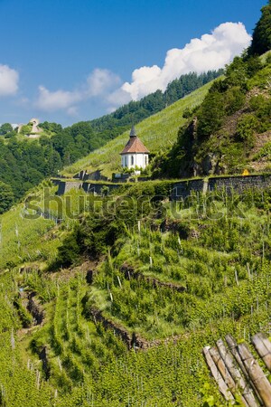 grand cru vineyard and Chapel of St. Urban, Thann, Alsace, Franc Stock photo © phbcz