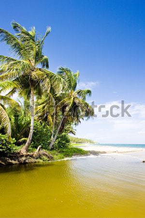 Stock photo: Pinfold Bay, Tobago