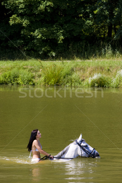 equestrian on horseback riding through water Stock photo © phbcz