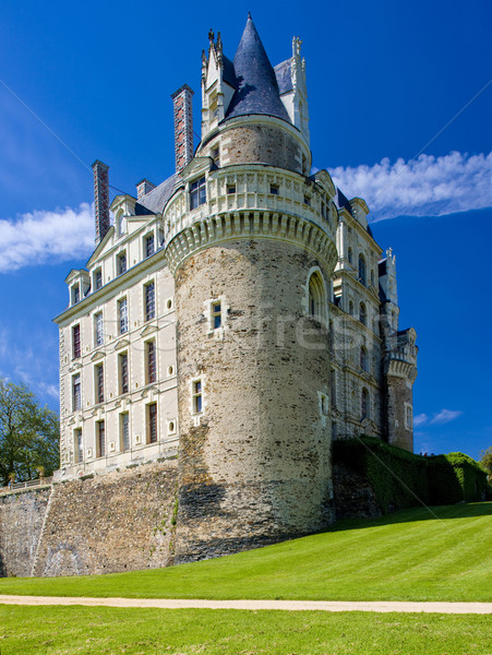 castle, Brissac-Quinc Stock photo © phbcz