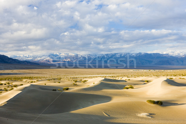 Stock photo: Stovepipe Wells sand dunes, Death Valley National Park, Californ