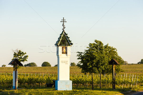 God's torture with vineyard near Velke Bilovice, Czech Republic Stock photo © phbcz