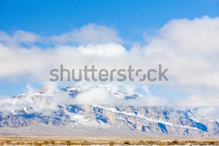 Iarnă munţi Nevada SUA peisaj decor Imagine de stoc © phbcz