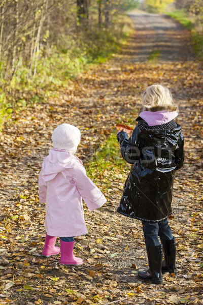 little girls wearing rubber boots in autumnal nature Stock photo © phbcz