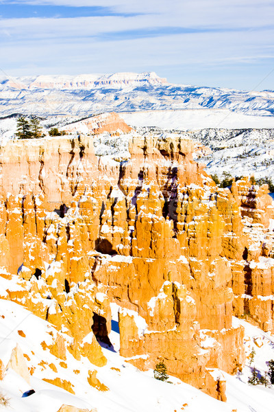 Kanion parku zimą Utah USA krajobraz Zdjęcia stock © phbcz