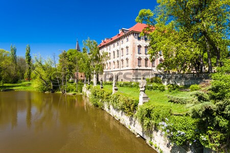 [[stock_photo]]: Palais · jardin · Pologne · rose · château · architecture