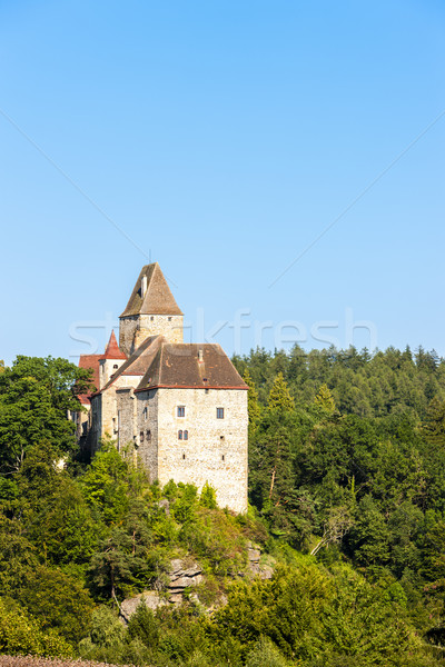 Burg senken Österreich Architektur Europa Stock foto © phbcz