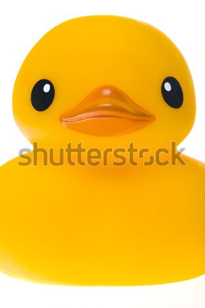 rubber duck Stock photo © phbcz