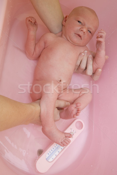 Bebé mujer familia mano ninos Foto stock © phbcz