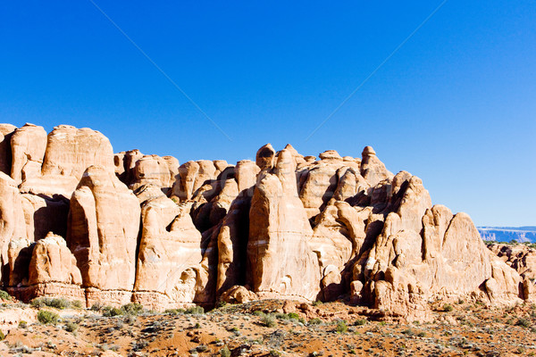 Arches National Park, Utah, USA Stock photo © phbcz