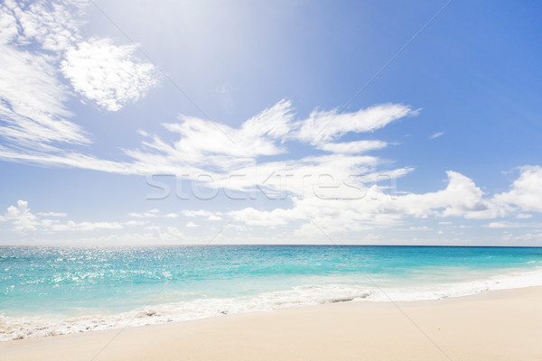 Foul Bay, Barbados, Caribbean Stock photo © phbcz