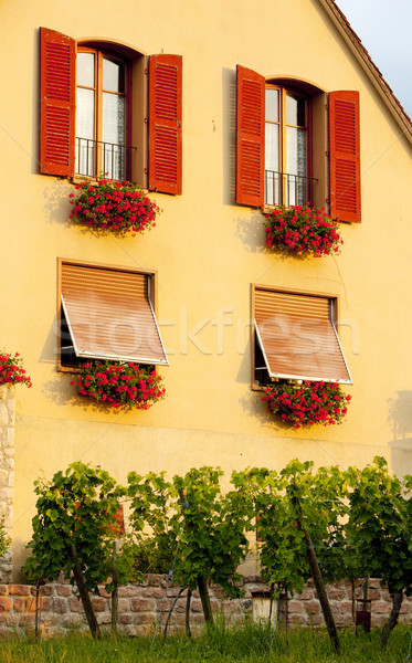 Hunawihr, Alsace, France Stock photo © phbcz