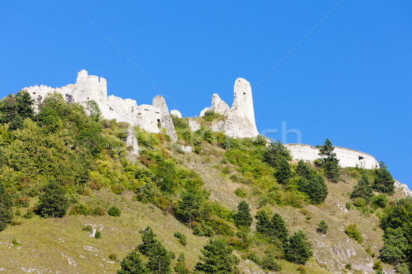 Foto d'archivio: Rovine · castello · Slovacchia · costruzione · architettura · storia