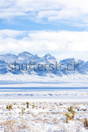 [[stock_photo]]: Mort · vallée · parc · Californie · USA · paysage