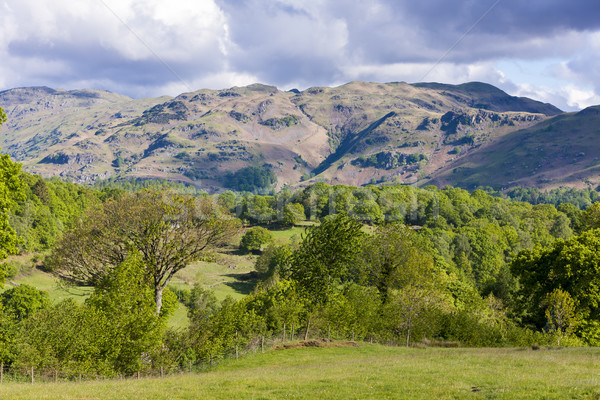 Tájkép Lake District Anglia Európa csend természetes Stock fotó © phbcz